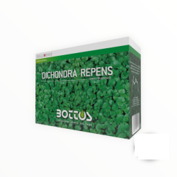 Sementi Zollaverde Dicondra Repens gr 500 Bottos