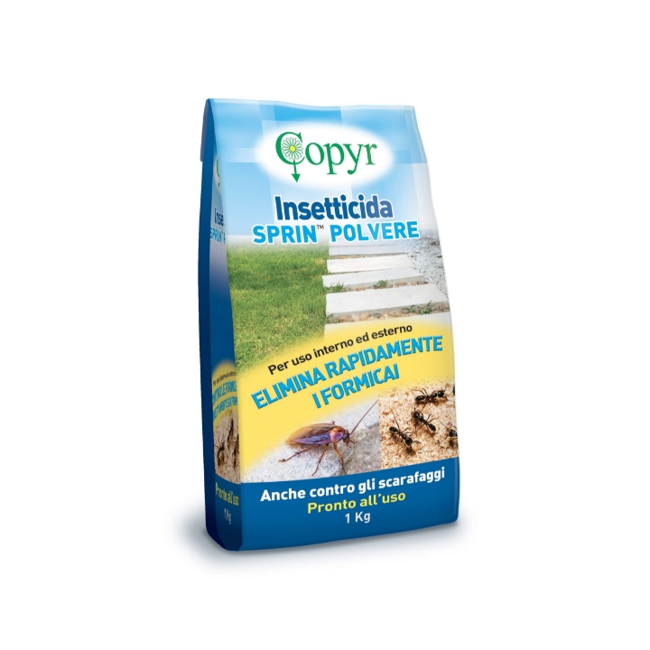 Insetticida Formiche-Scarafaggi SPRIN polvere KG 1 Copyr