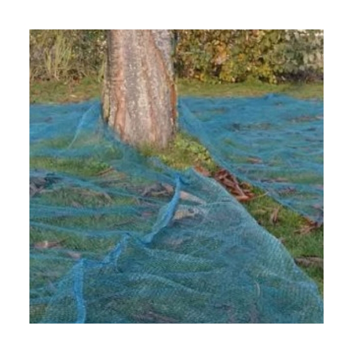 rete olive grande formato raccolta olive