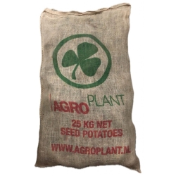 Patate seme Nicola HOLLAND X 1 Kg