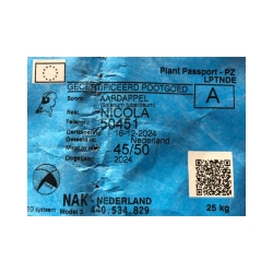 Patate seme Nicola HOLLAND X 1 Kg