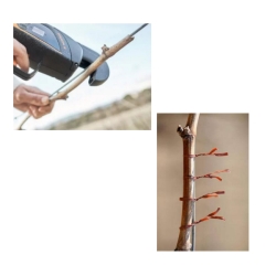 Filo standard legatrice Fixion bobina 80 mt