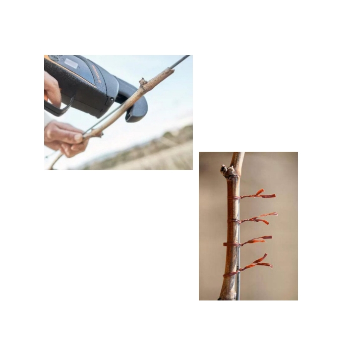 Filo standard legatrice Fixion bobina 80 mt