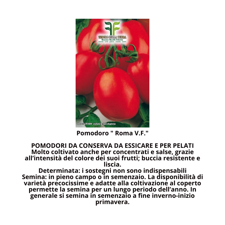 Semi da orto assortimento vario Tesoro della Terra