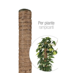 Bastone muschiato in plastica cm 80