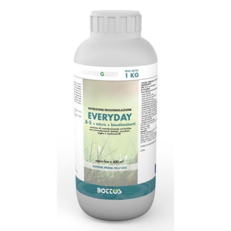 Master Green Everyday Kg 1 Bottos