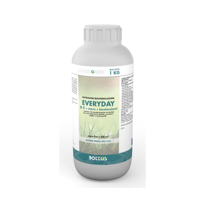 Master Green Everyday Kg 1 Bottos