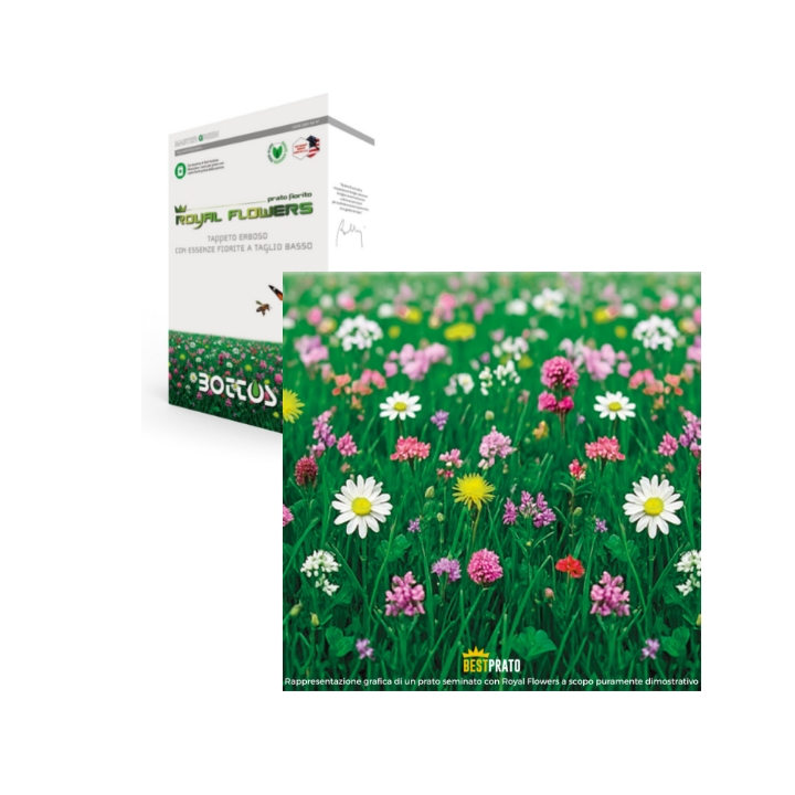 Master Green Flowers Kg 1 Bottos