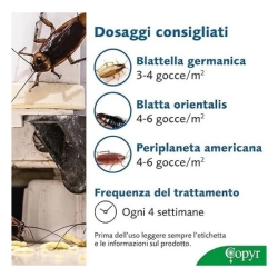 Siringa Gel Scarafaggi 25 gr per uso Professionale Copyr