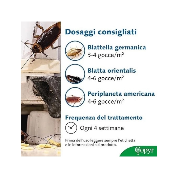 Siringa Gel Scarafaggi 25 gr per uso Professionale Copyr