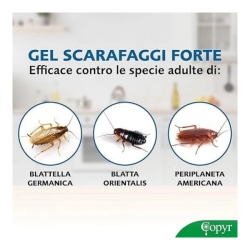 Siringa Gel Scarafaggi 25 gr per uso Professionale Copyr