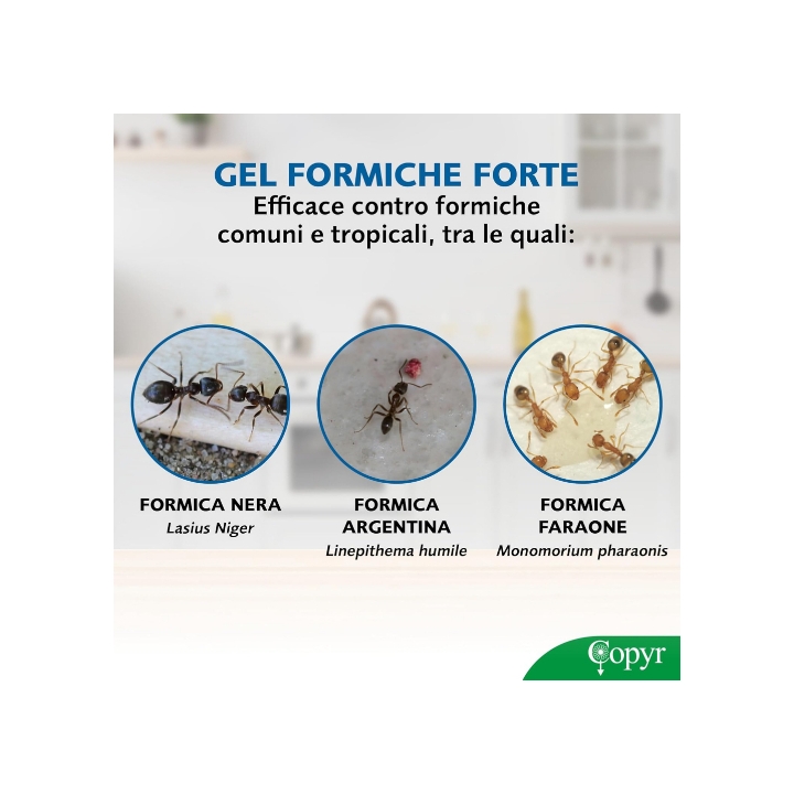 Siringa Gel Formiche 25 gr per uso Professionale Copyr