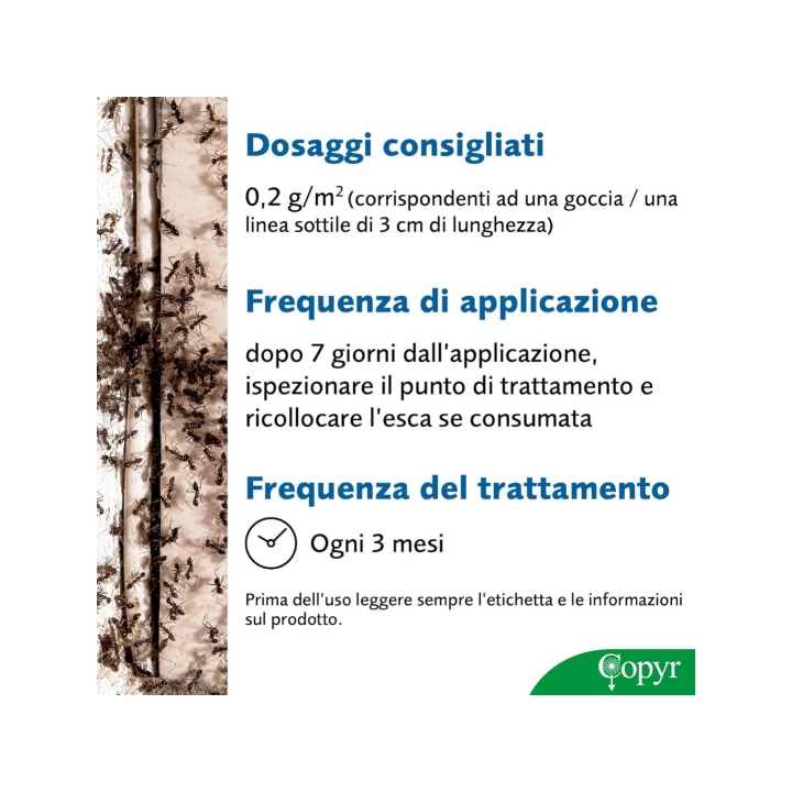 Siringa Gel Formiche 25 gr per uso Professionale Copyr
