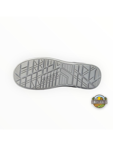 Scarpe basse u-power S1 Point