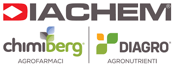 DIACHEM
