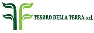 Tesoro della Terra