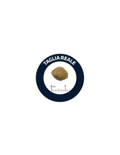 Advance Veterinary dog Adult Hypoallergenic KG 10