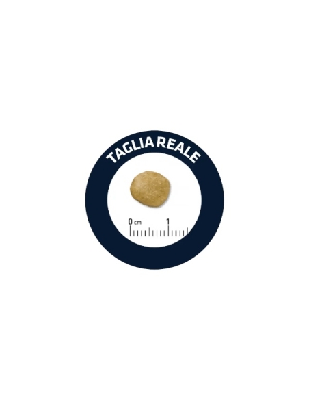 Advance Veterinary dog Adult Renal KG 12