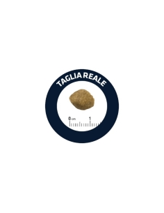 Advance Veterinary dog Adult Urinary Low Purine KG 12