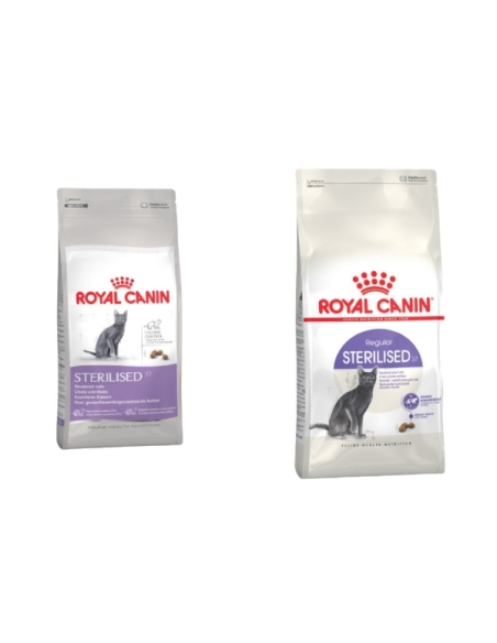 Royal canin cat FHN regular sterilised KG 10