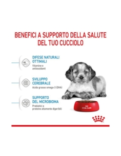 Royal Canin medium Puppy 10 Kg