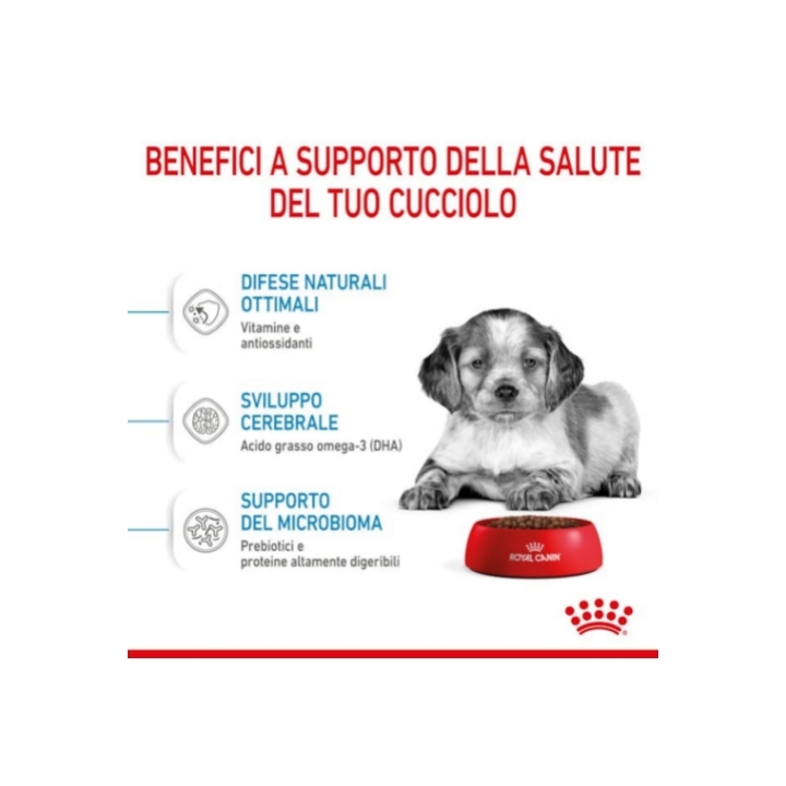 Royal Canin medium Puppy 10 Kg