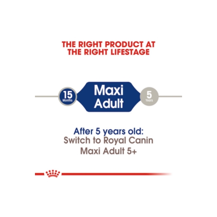 Royal Canin maxi adult 10 Kg