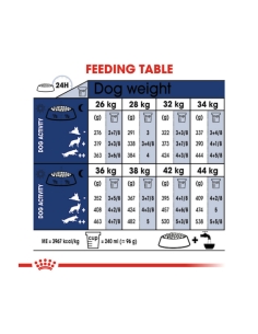 Royal Canin maxi adult 10 Kg