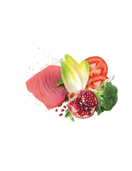 Exclusion Dog mediterraneo monoprotein Large Adult tonno KG 12