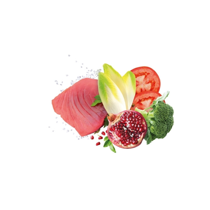 Exclusion Dog mediterraneo monoprotein Large Adult tonno KG 12