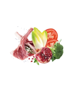 Exclusion Dog mediterraneo monoprotein Large Adult agnello KG 12