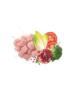 Exclusion Dog mediterraneo monoprotein Large Adult pollo KG 12