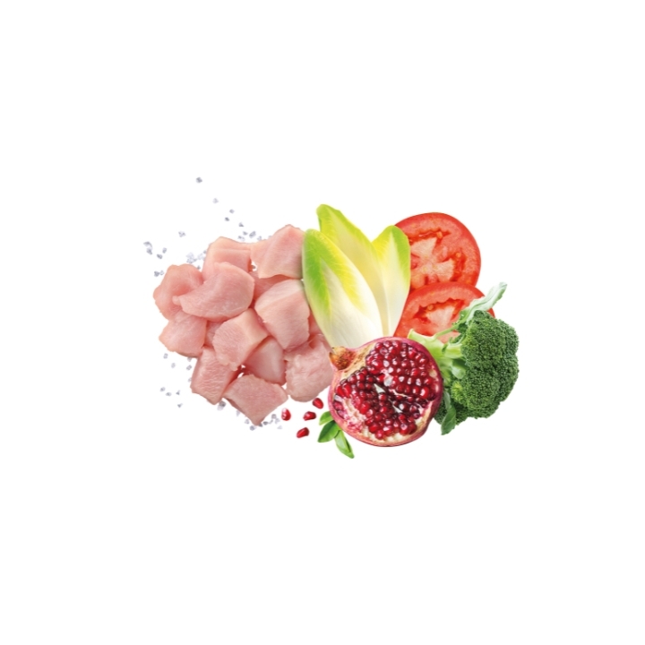 Exclusion Dog mediterraneo monoprotein Large Adult pollo KG 12