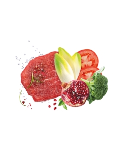 Exclusion Dog mediterraneo monoprotein Large Adult manzo KG 12