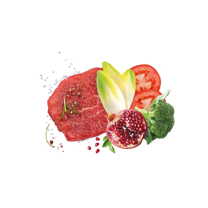 Exclusion Dog mediterraneo monoprotein Large Adult manzo KG 12