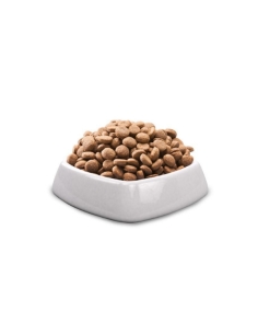 Vincent Fidog cane adult mangime completo Kg 20