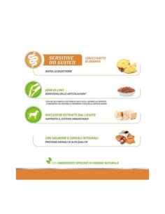 Natural trainer medium&maxi puppy&junior salmone e cereali integrali KG 12