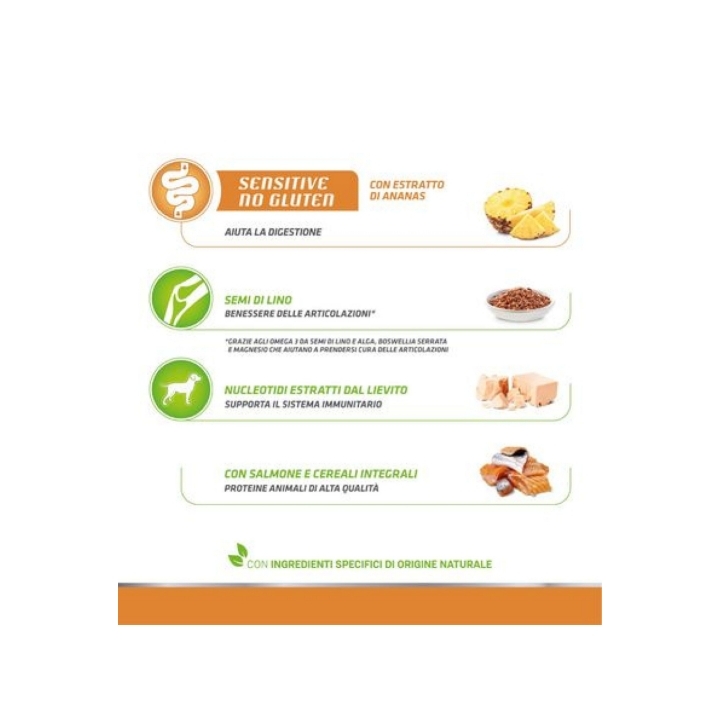 Natural trainer medium&maxi puppy&junior salmone e cereali integrali KG 12