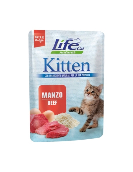 Life cat kitten con manzo 70 gr