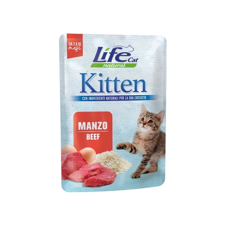 Life cat kitten con manzo 70 gr