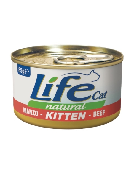 Life cat kitten con manzo 85 gr