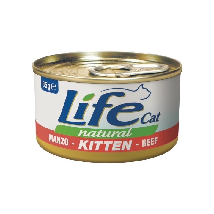 Life cat kitten con manzo 85 gr
