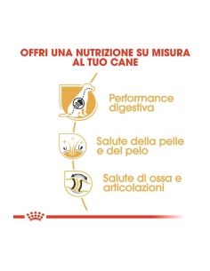 Royal Canin dog BHG German shep Adult KG 11