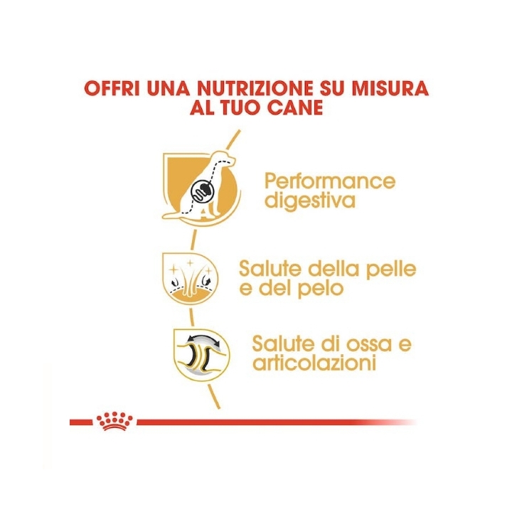 Royal Canin dog BHG German shep Adult KG 11