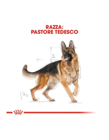 Royal Canin dog BHG German shep Adult KG 11