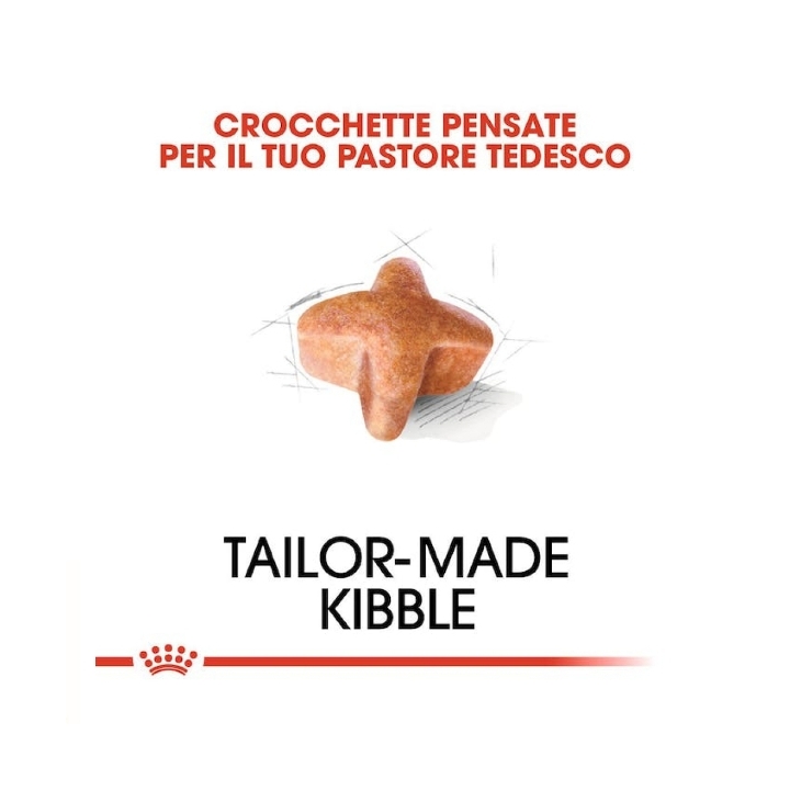 Royal Canin dog BHG German shep Adult KG 11