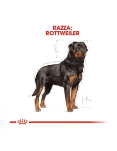 Royal canin Rottweiler 12 Kg