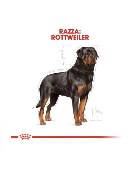 Royal canin Rottweiler 12 Kg