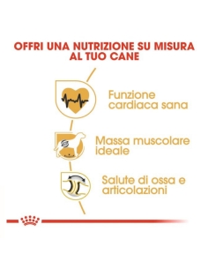 Royal canin Rottweiler 12 Kg