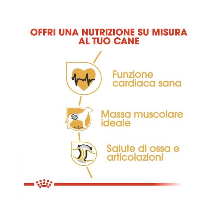 Royal canin Rottweiler 12 Kg